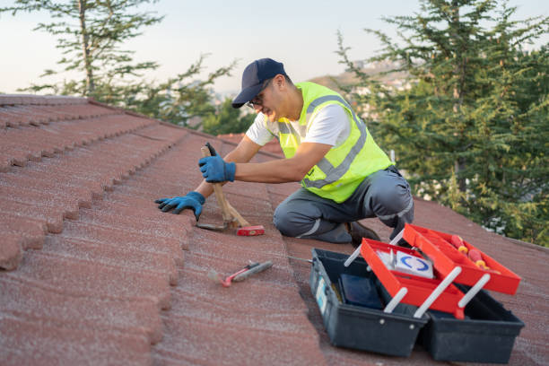 Gutter Installation and Roofing in Justin, TX